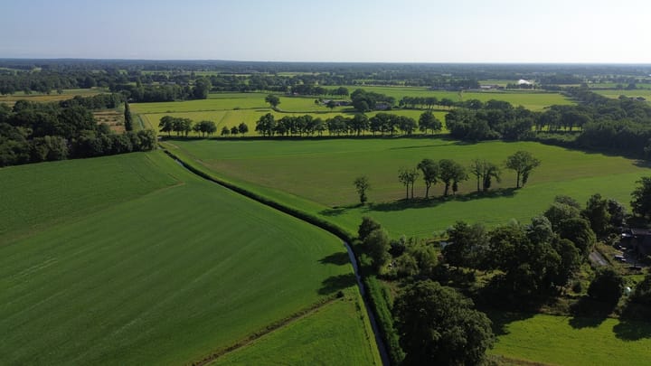 Foto 13 van Hazelberg 1