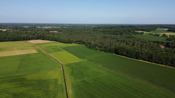 Foto 14 van Hazelberg 1