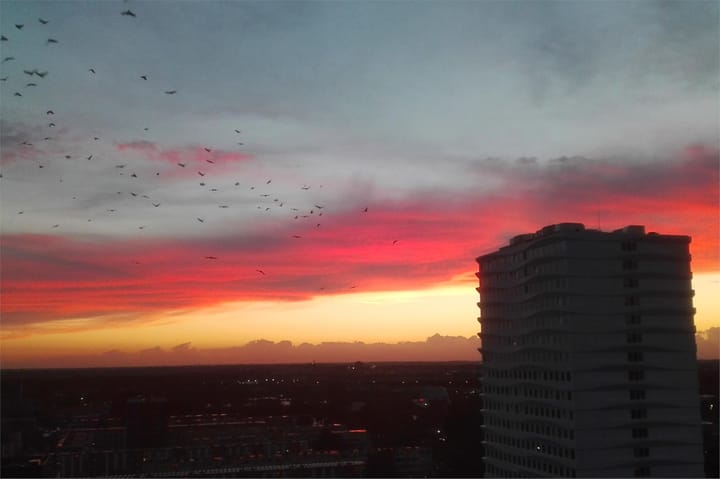 Foto 5 van Van Weerden Poelmanlaan 166