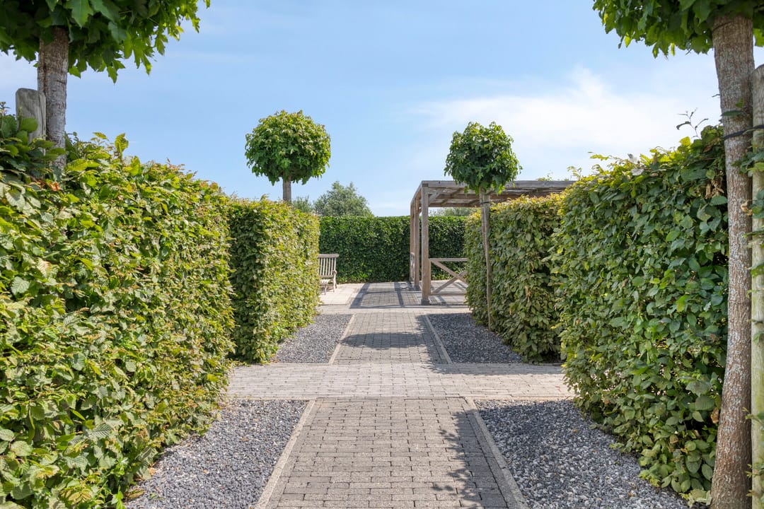 Foto 58 van Handelsstraat 37