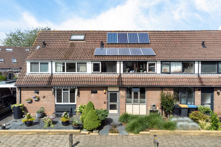 Foto 1 van Sleutelbloem 3