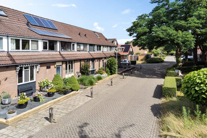 Foto 4 van Sleutelbloem 3