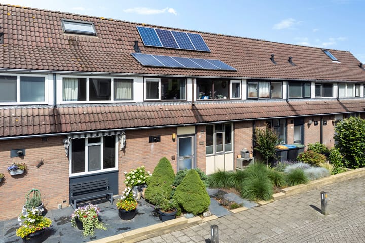 Foto 21 van Sleutelbloem 3