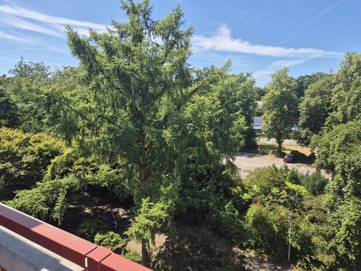 Foto 19 van Bachlaan 107