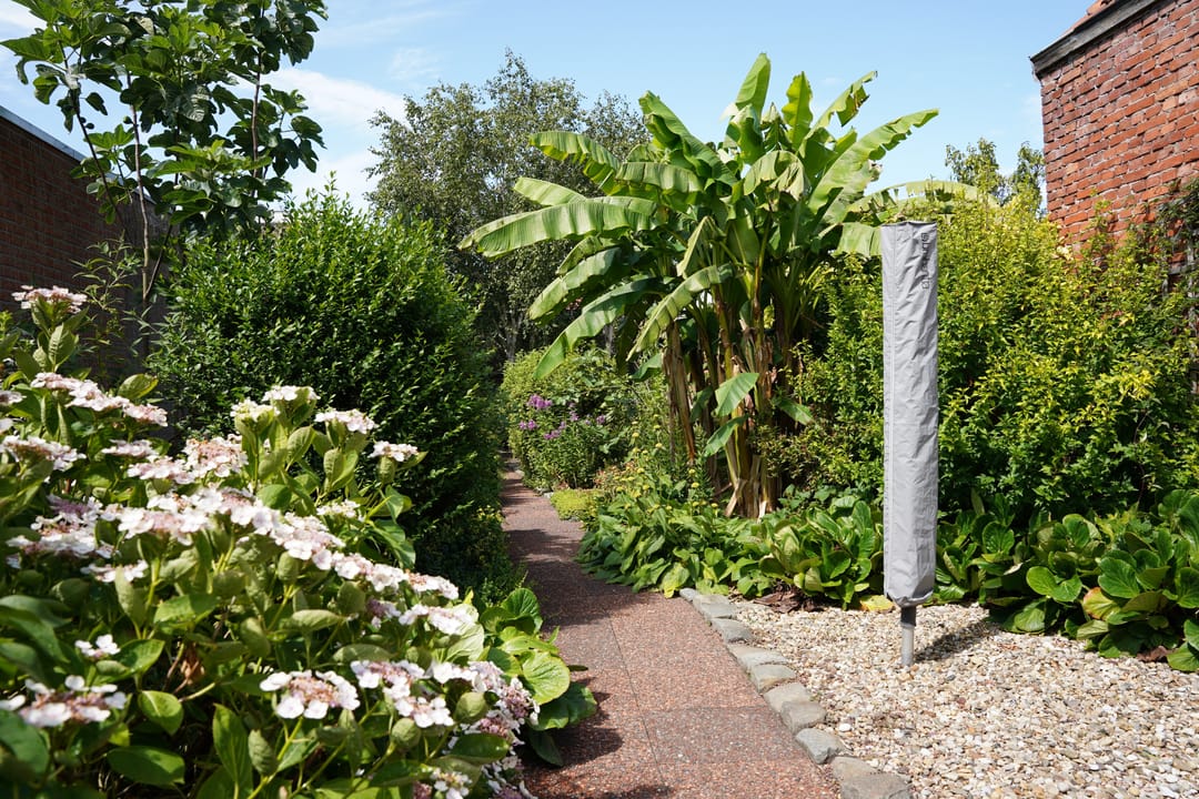 Foto 37 van Minnepoortstraat 6