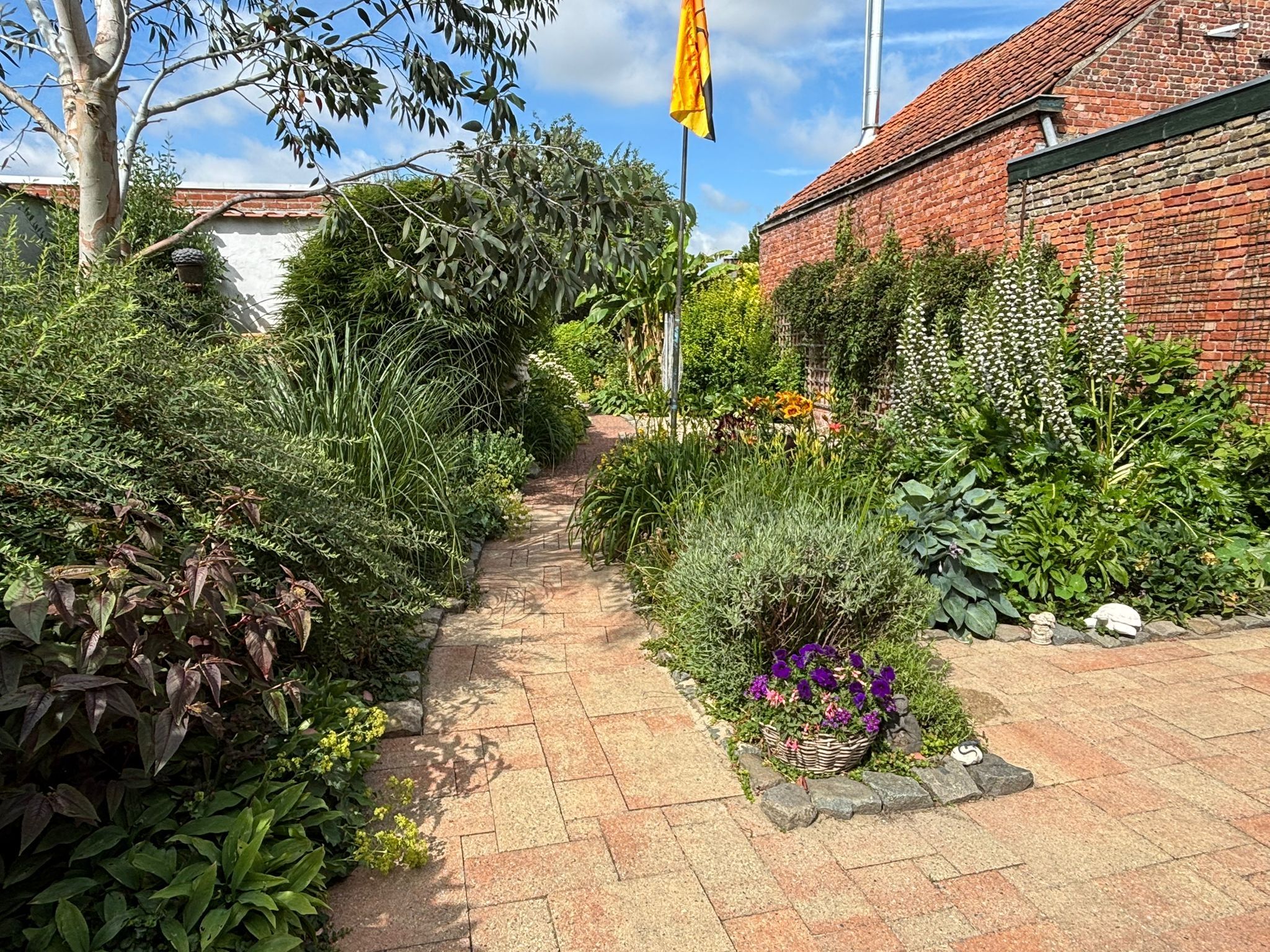 Foto 39 van Minnepoortstraat 6