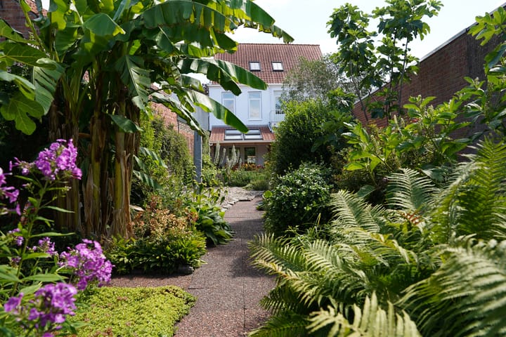 Photo 43 of Minnepoortstraat 6