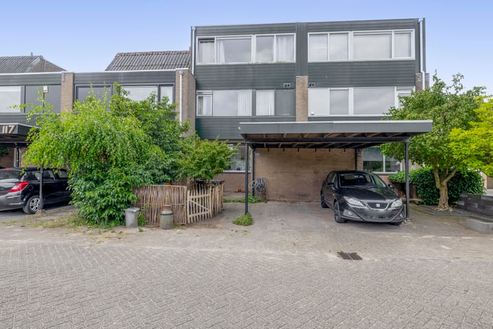 undefined main image