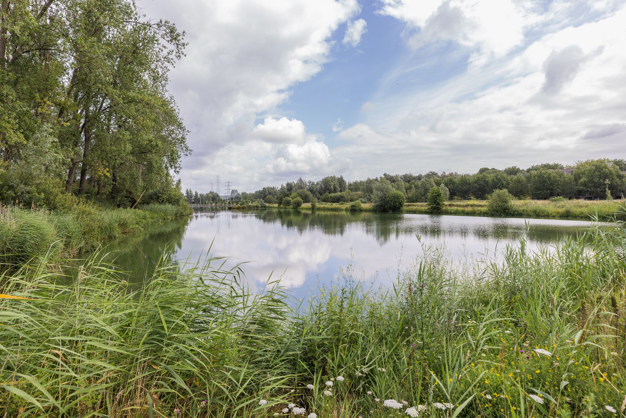 Foto 39 van Dijkvoet 18