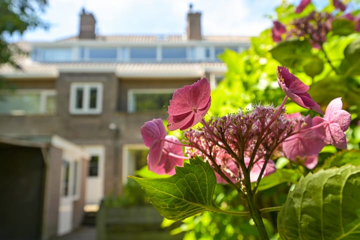 Foto 21 van Storm van 's-Gravesandeweg 80