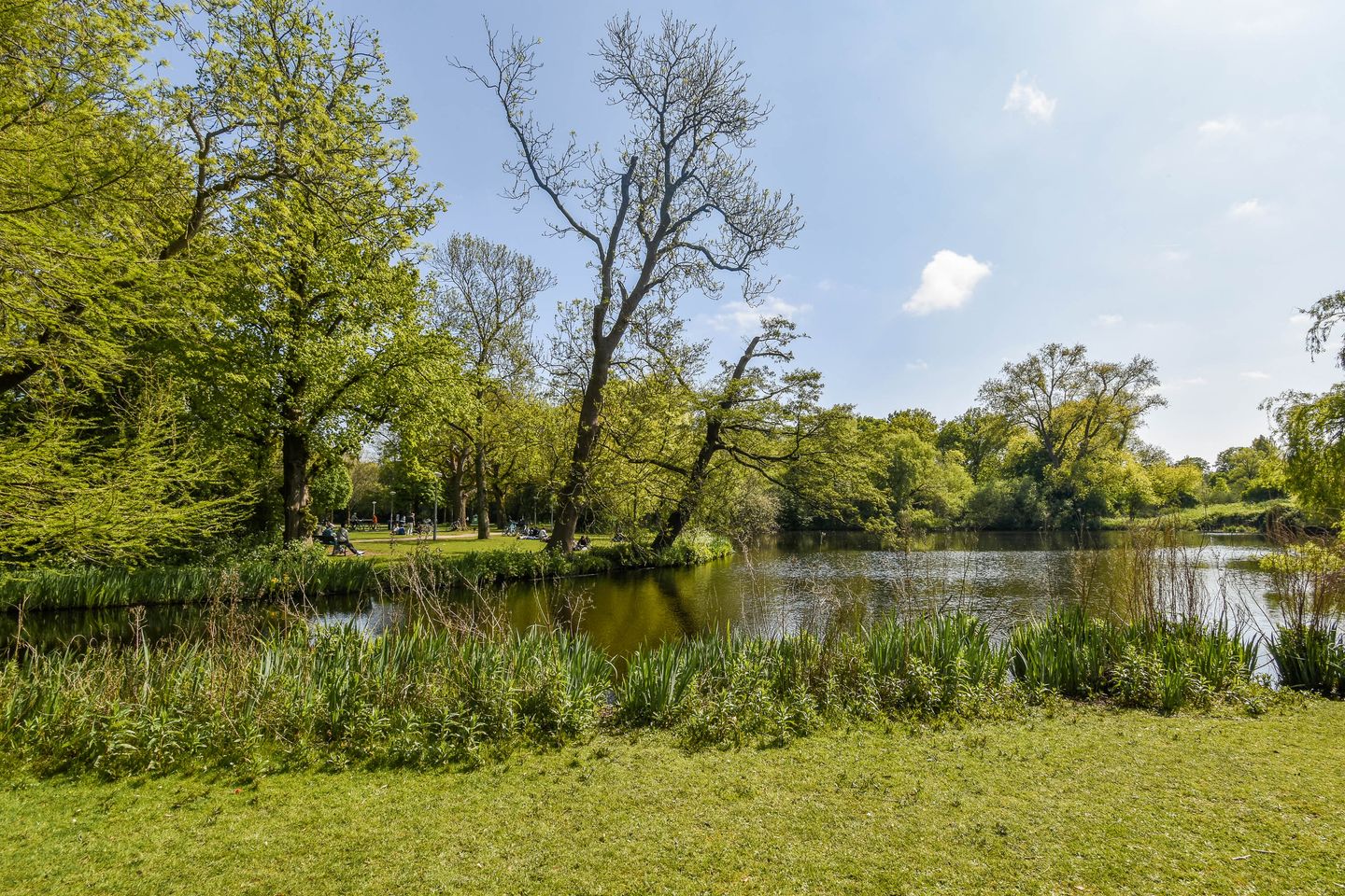 Foto 25 van Jan Pieter Heijestraat 98-4