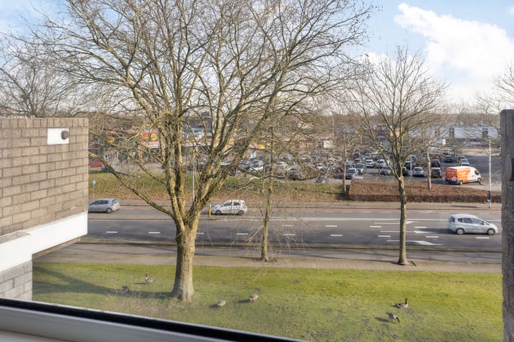 Foto 11 van Engelsmanplaat 101