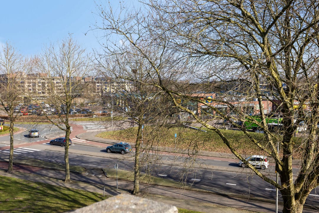 Foto 13 van Engelsmanplaat 101