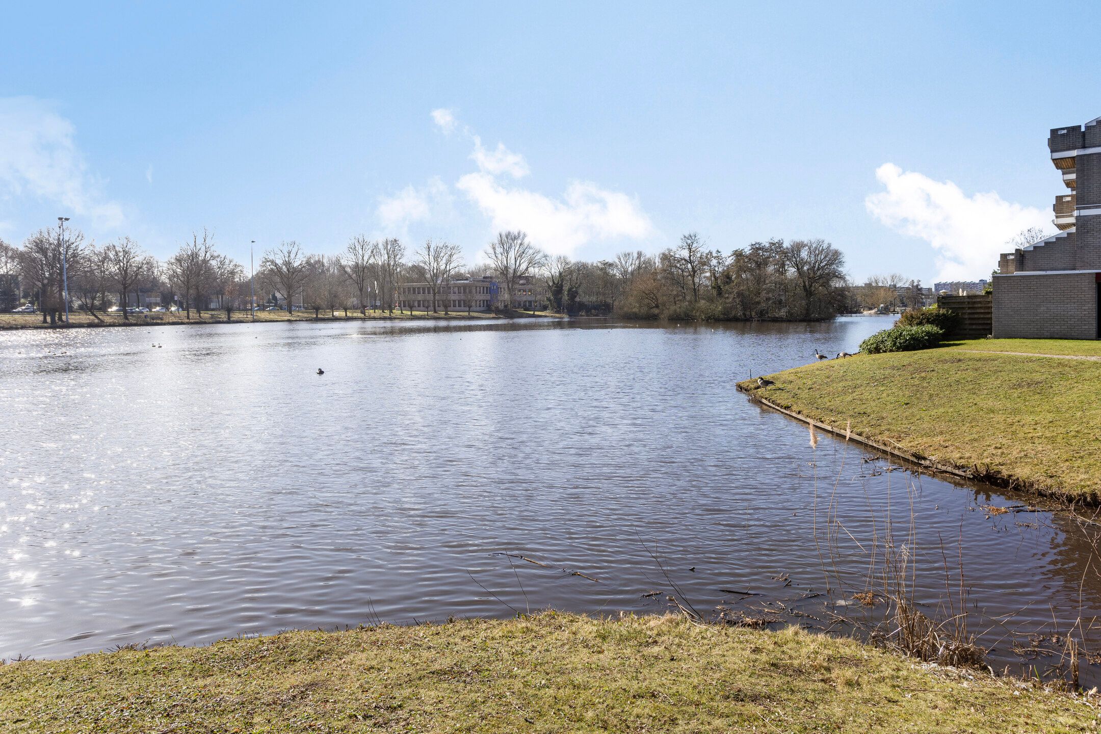 Foto 33 van Engelsmanplaat 101