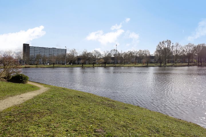 Foto 34 van Engelsmanplaat 101