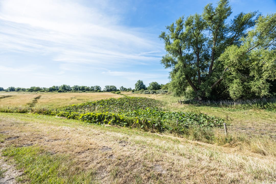 Foto 28 van Duinweg 2-D