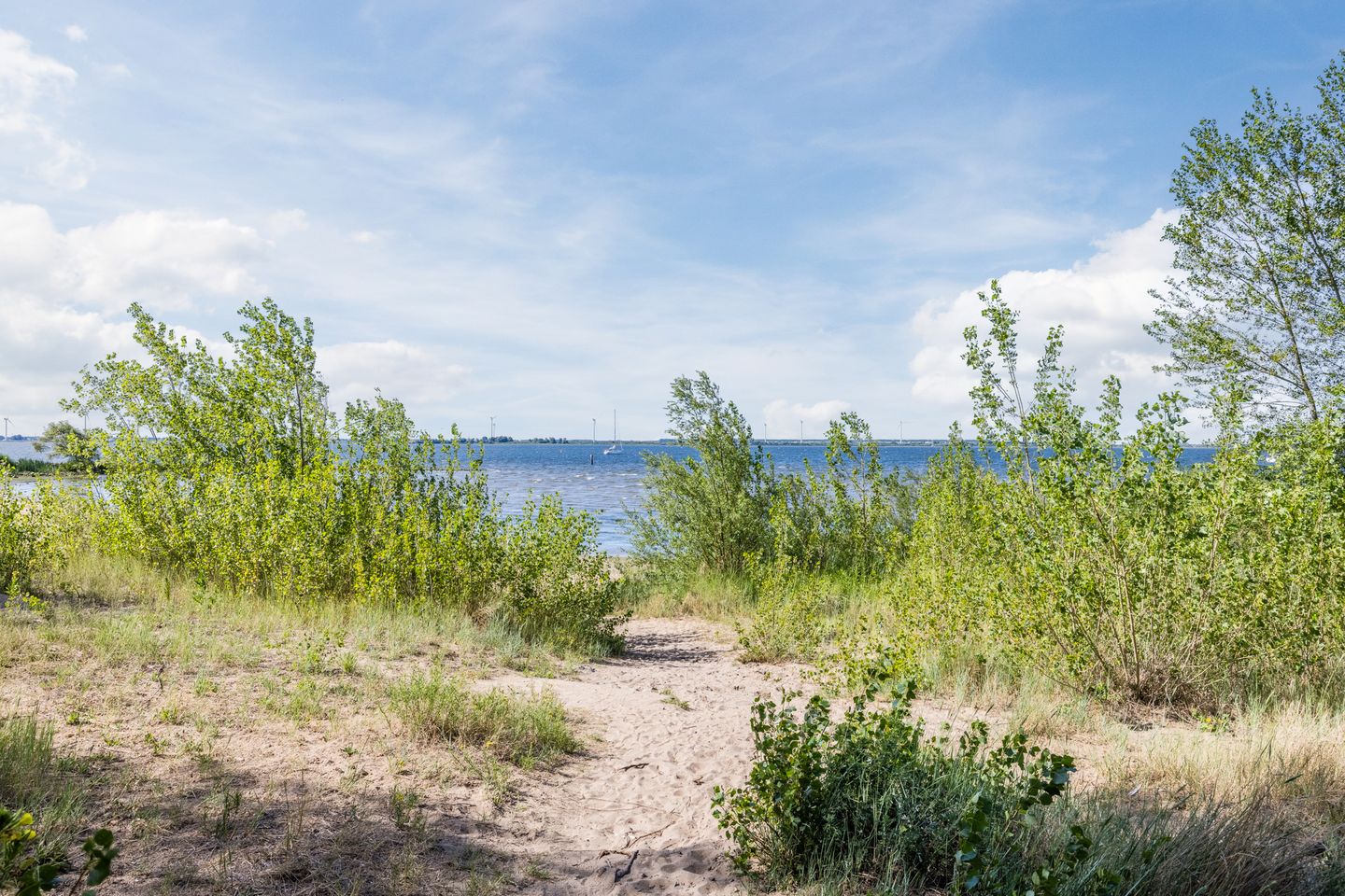 Foto 29 van Duinweg 2-D