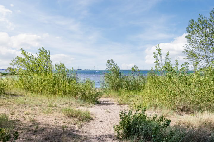 Foto 29 van Duinweg 2-D