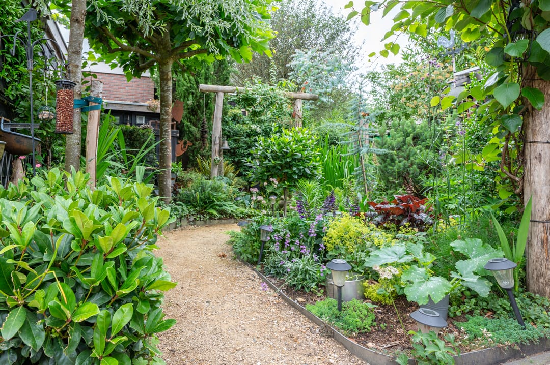 Foto 41 van Drieseweg 18