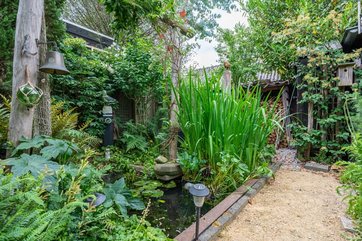 Foto 44 van Drieseweg 18