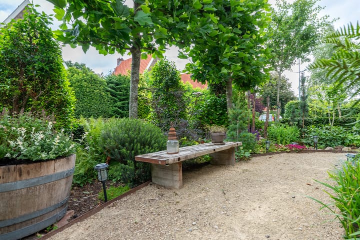 Foto 45 van Drieseweg 18