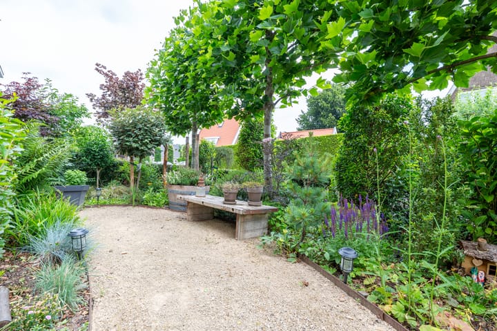 Foto 46 van Drieseweg 18