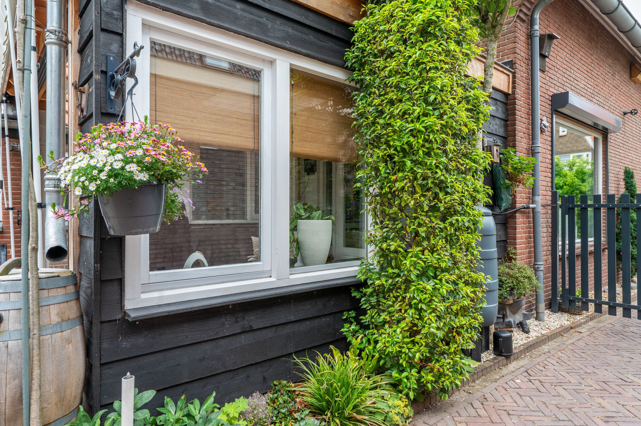 Foto 54 van Drieseweg 18