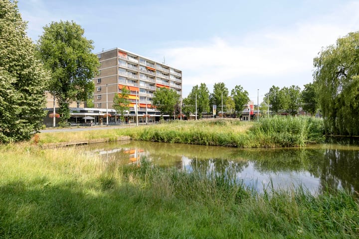 Photo 29 of Middachtensingel 258