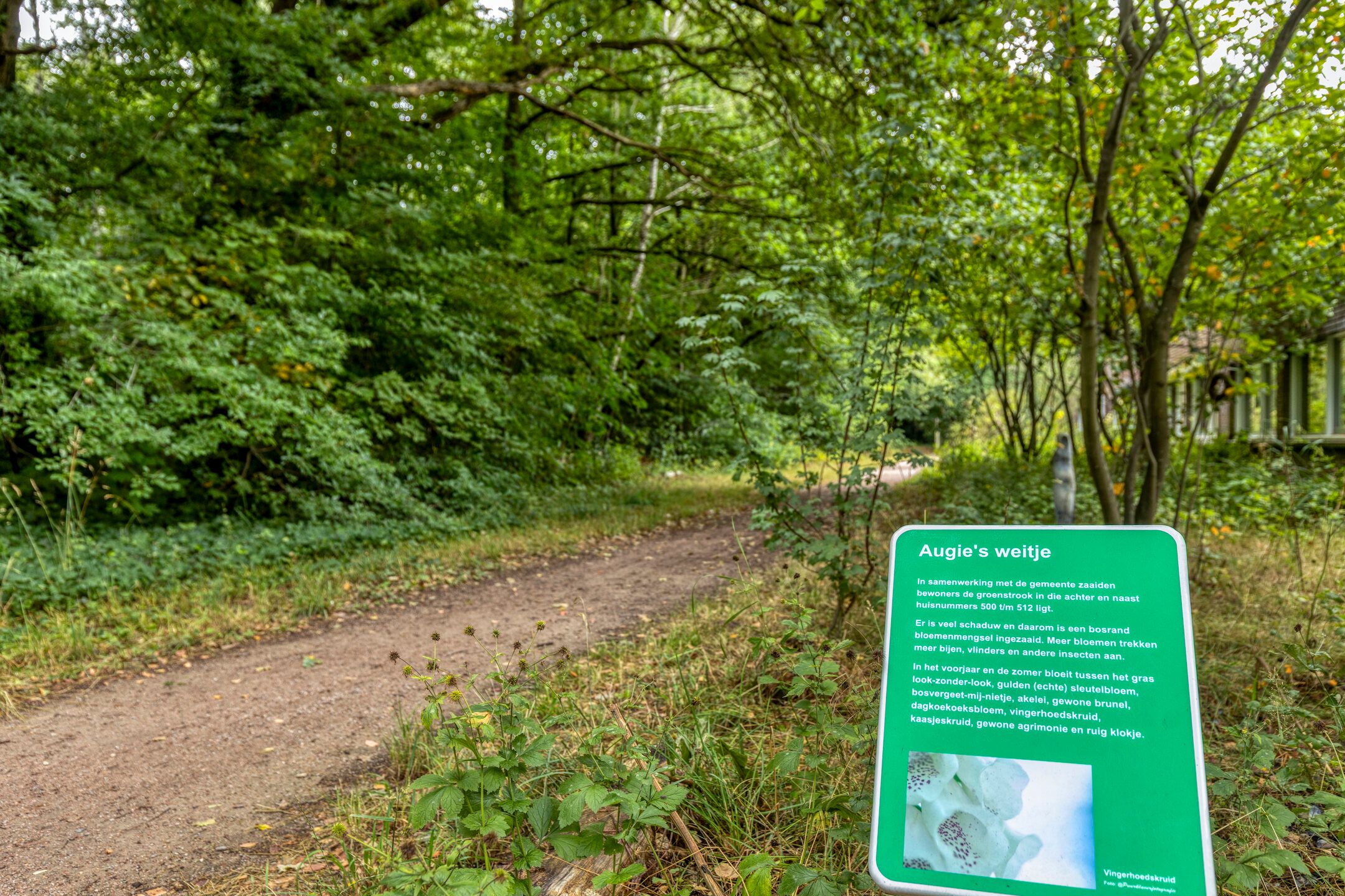 Foto 24 van Erfgooiersstraat 544