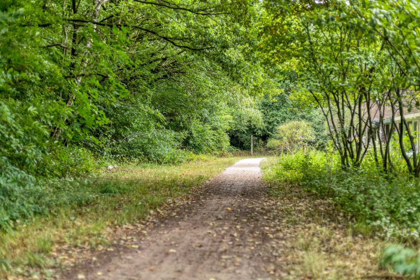 Foto 25 van Erfgooiersstraat 544