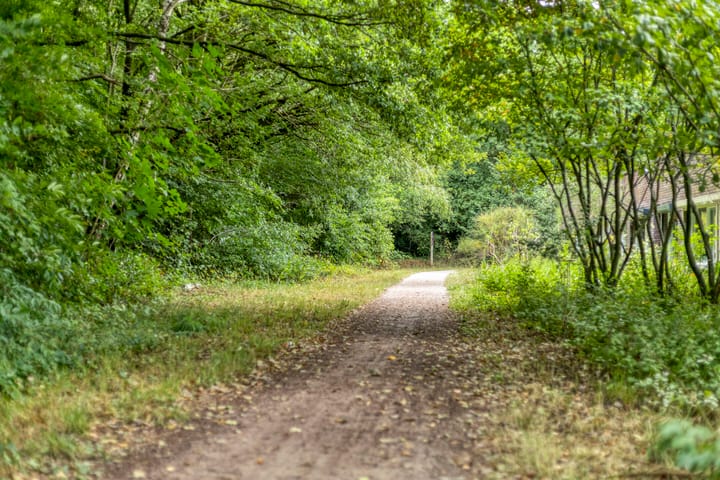 Foto 25 van Erfgooiersstraat 544