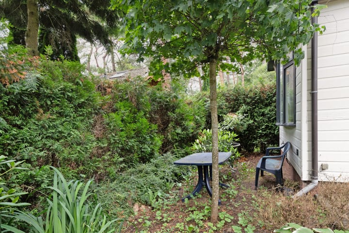 Foto 18 van Lage Bergweg 31-P22