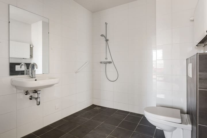 Foto 4 van Koppeldijk 20-D