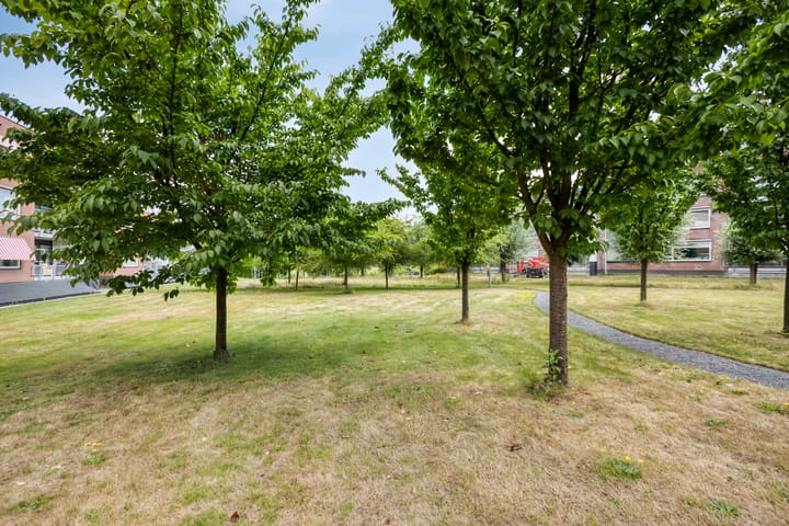 Foto 29 van Inspecteur Schreuderlaan 74