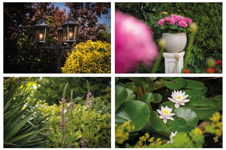 Foto 40 van Wethouder Viveenstraat 1