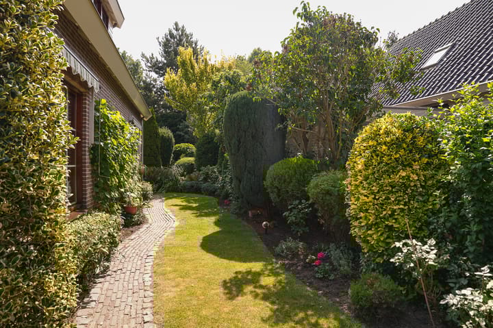 Foto 42 van Wethouder Viveenstraat 1