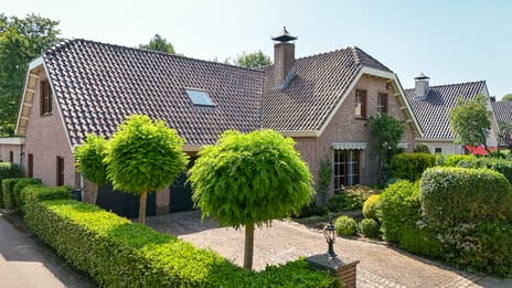 Wethouder Viveenstraat thumbnail