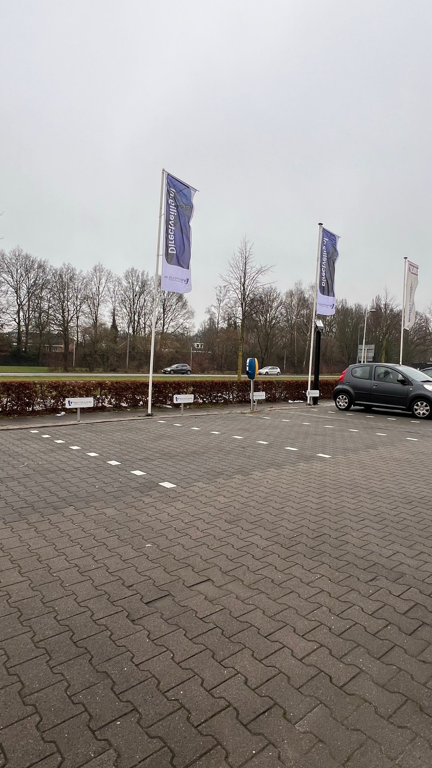 View photo 5 of Oosterveldsingel 19-D