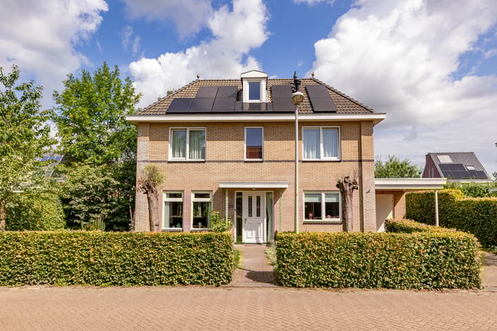 Foto 1 van Meerval 24