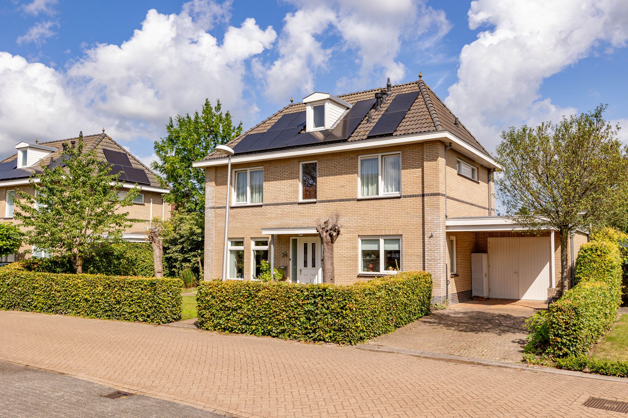 Photo 6 of Meerval 24