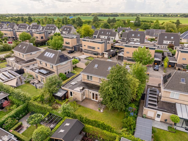 Foto 49 van Meerval 24