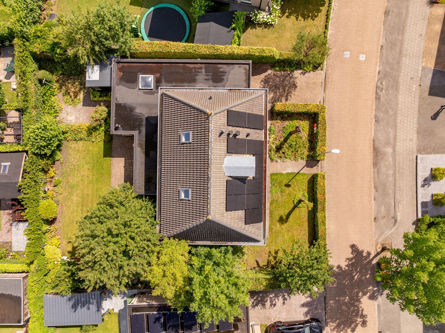 Photo 50 of Meerval 24