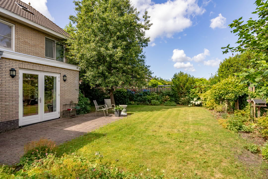 Photo 53 of Meerval 24