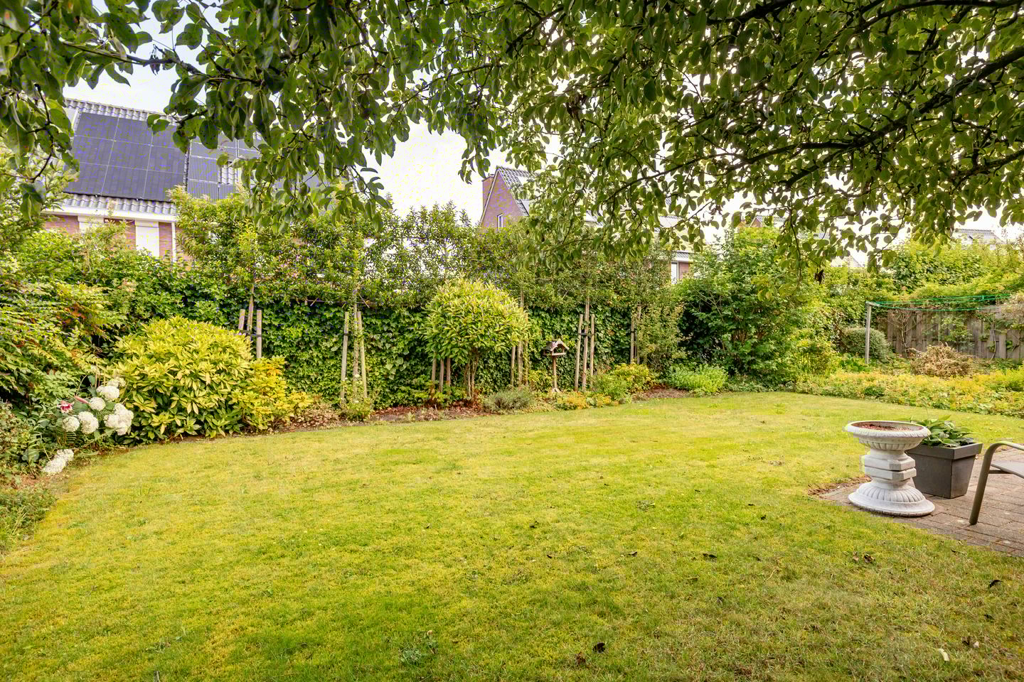 Photo 55 of Meerval 24