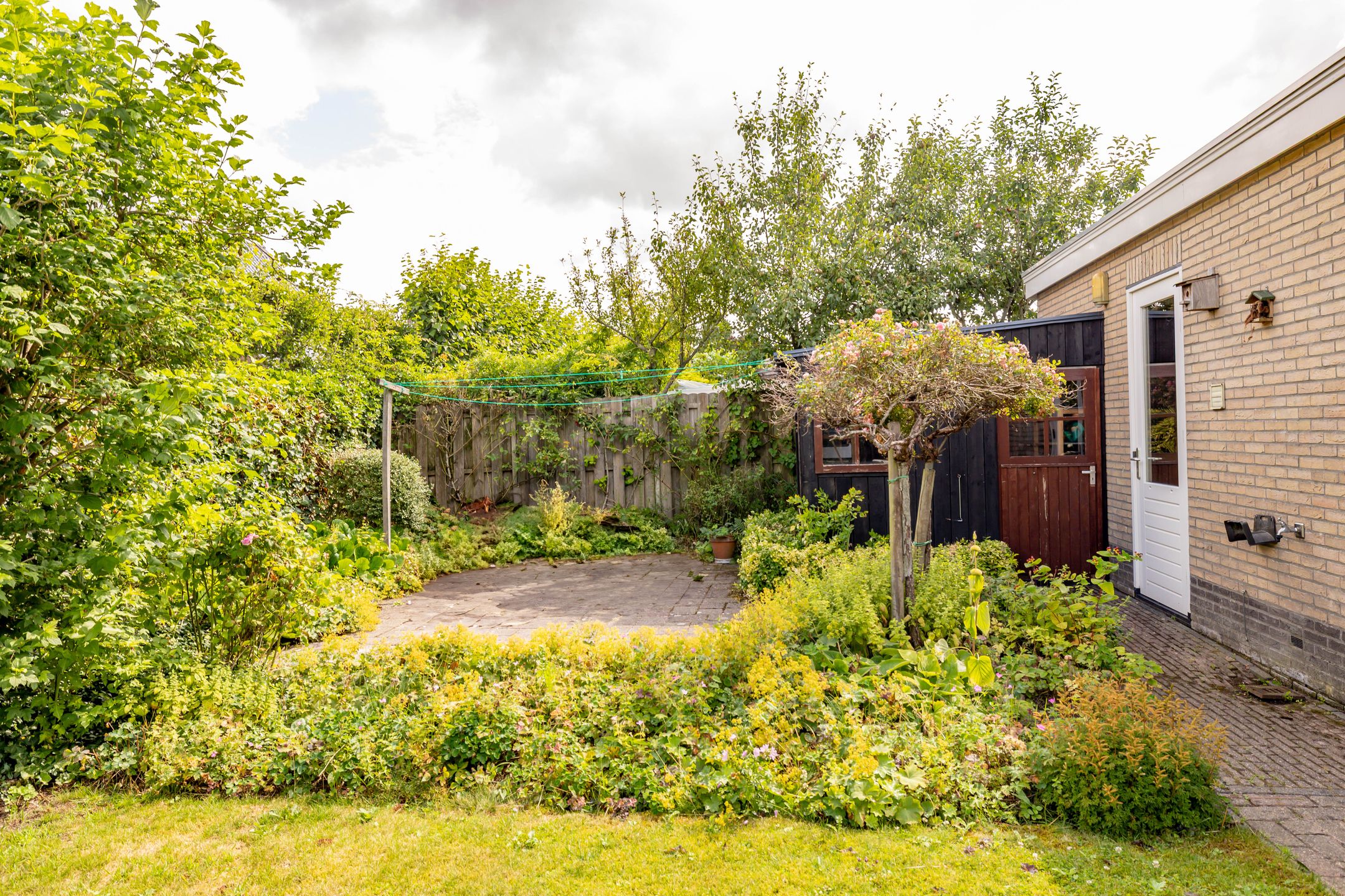 Photo 57 of Meerval 24