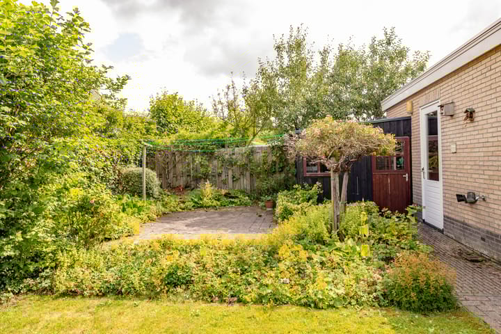 Foto 57 van Meerval 24