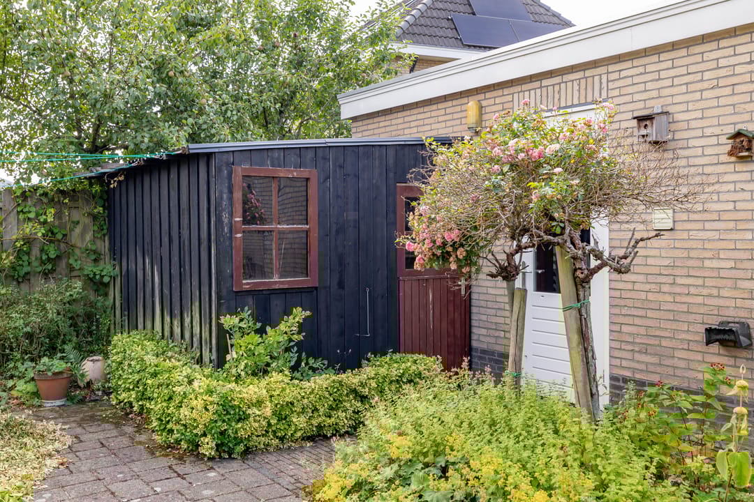 Photo 58 of Meerval 24