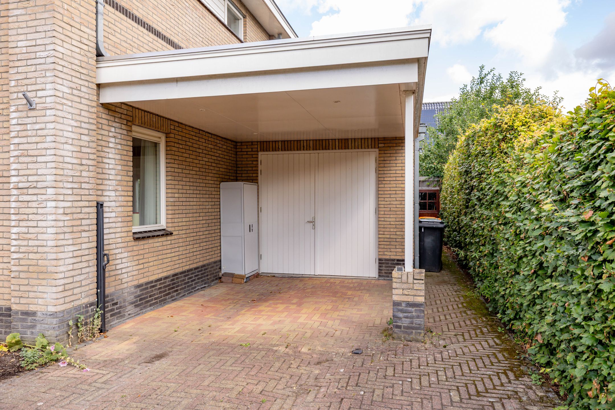 Photo 60 of Meerval 24