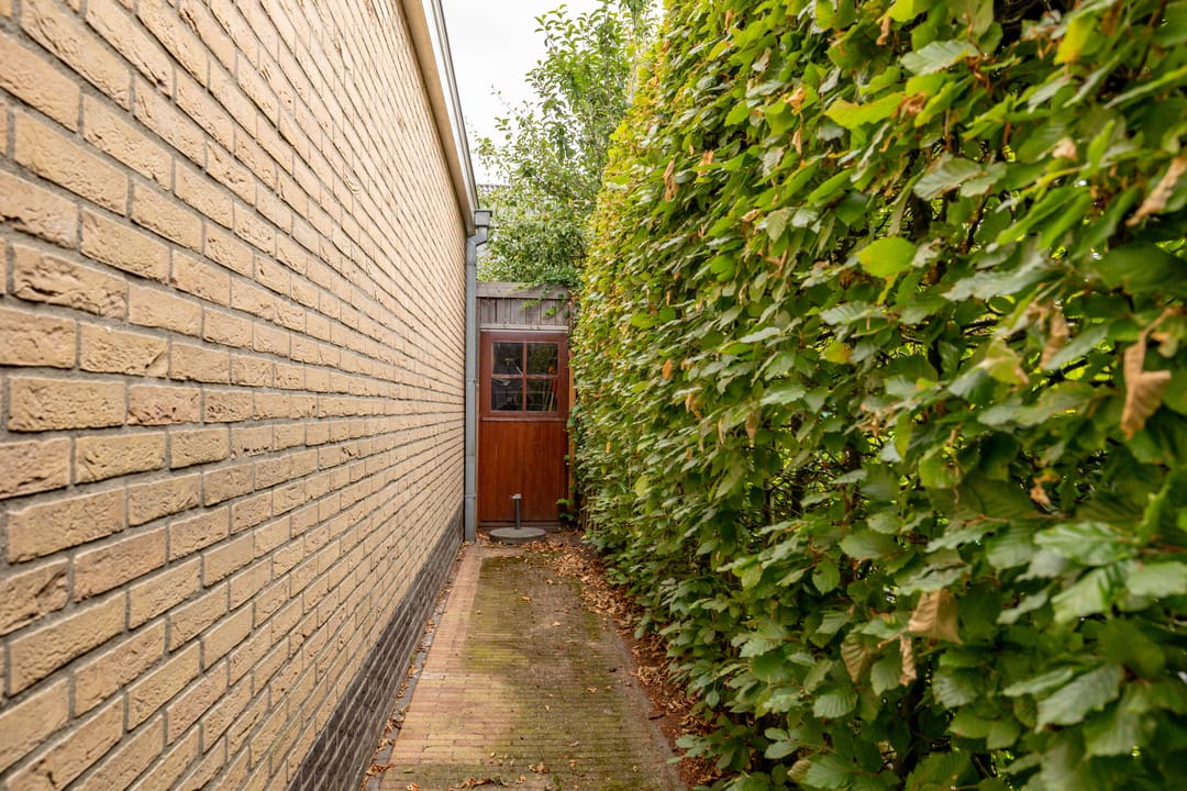 Photo 61 of Meerval 24