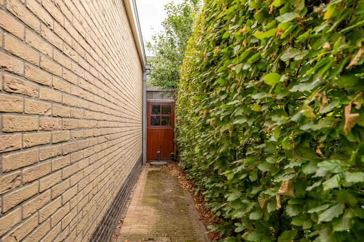 Foto 61 van Meerval 24